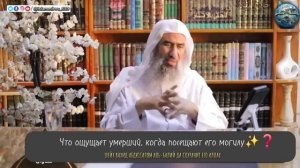 Что ощущает умерший, когда посещают его могилу || Шейх Вахид Абдуссалям аль-Балий