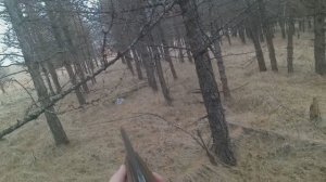 Охота на бесстрашного зайца со стальными нервами по чернотропу