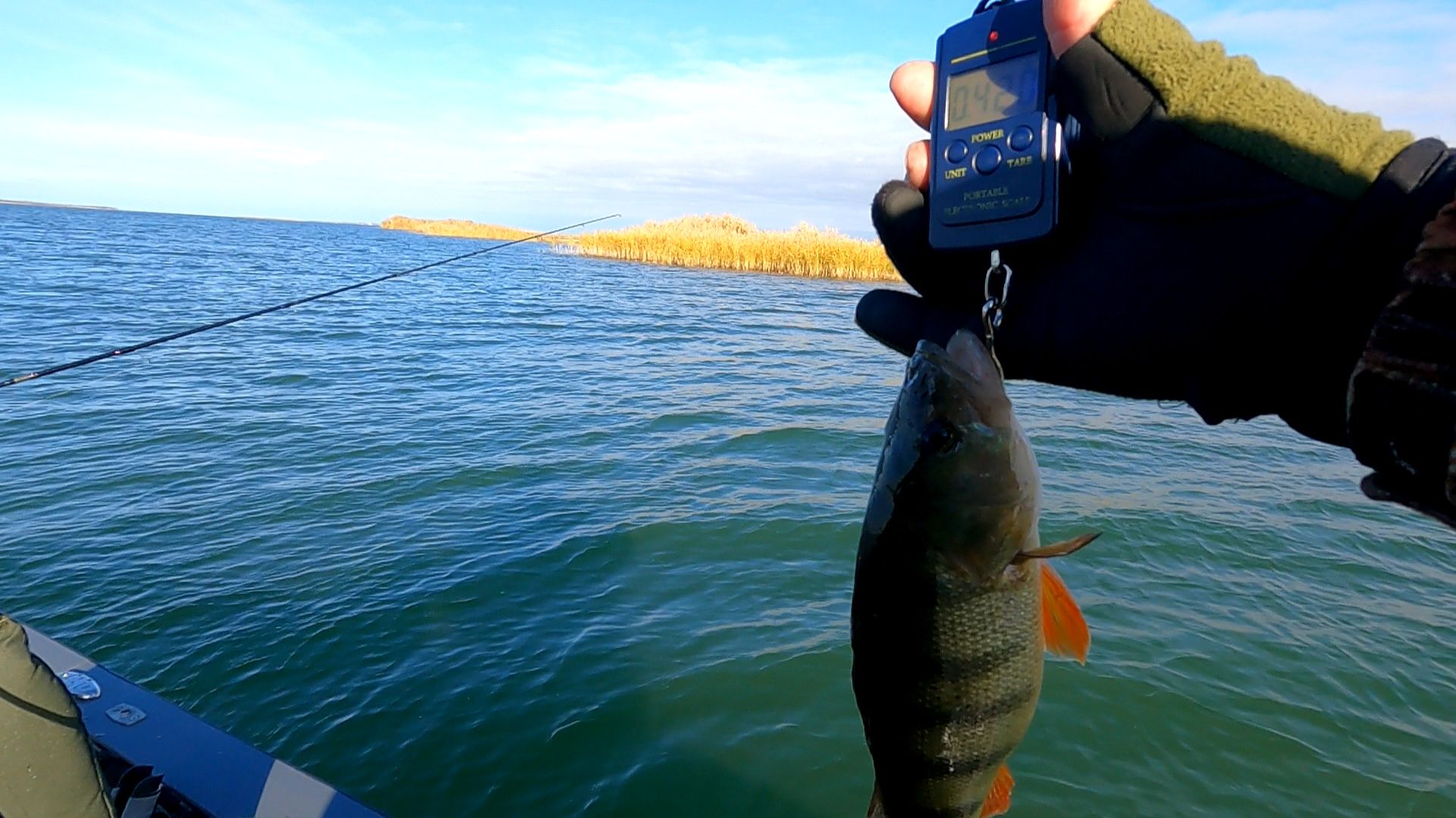 Смотрите в с ледующем ролике окуни кабаны гнут спиннинги,рыбалка на Маныче.От 03.11.25
