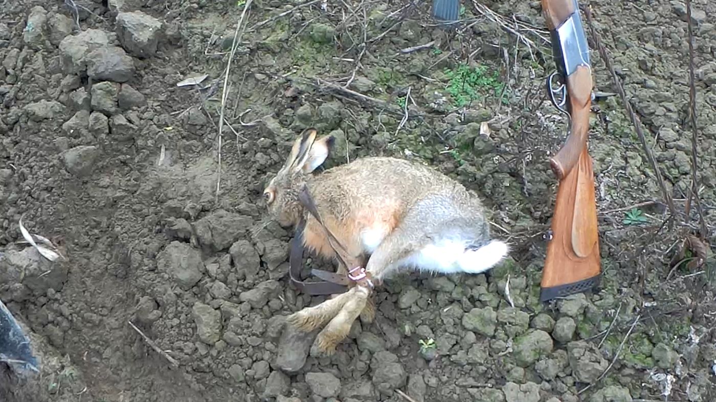 ЕСТЬ ТРОФЕЙ!!!! Но, не мой...