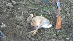 ЕСТЬ ТРОФЕЙ!!!! Но, не мой...