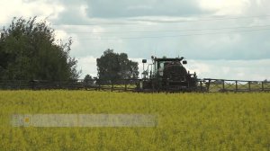 Завод по производству рапсового масла и жмыха в Ордынском районе запустил вторую линию