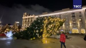 12-12-2025 упала ёлка