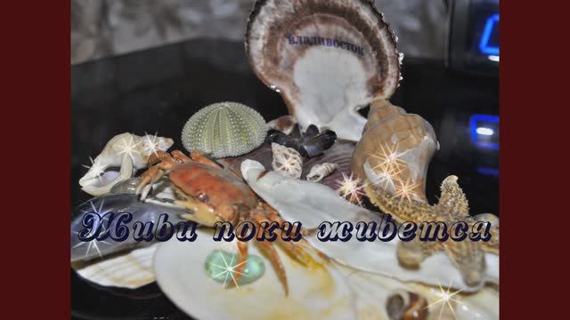 Живи пока живется 1920x1080