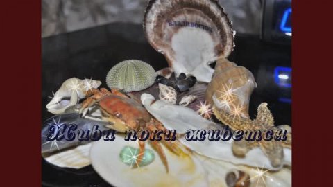 Живи пока живется 1920x1080