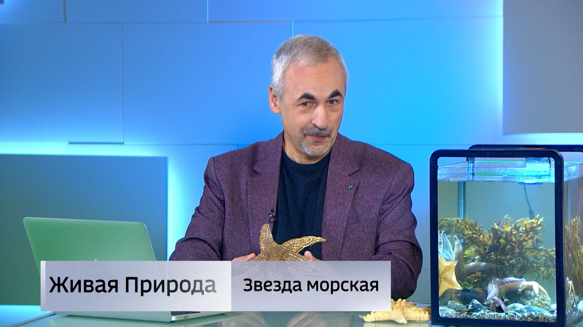 Живая природа. "Звезда морская"