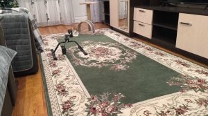 Новости у меня неприятные, но зато для Куколок есть надежда...