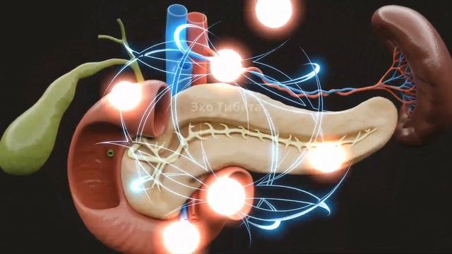 «Исцели 7 органов за ночь — Гаряев 2025 (2,5 часа)» смотреть онлайн