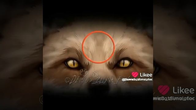 1видеоWildCraft/Видео не моё!/^𝚆𝚒𝚕𝚍𝚌𝚛𝚊𝚏𝚝/𝙶𝚘𝚕𝚞𝚋𝚒𝚌𝚑𝚔𝚊^/Ваилд крафт///.