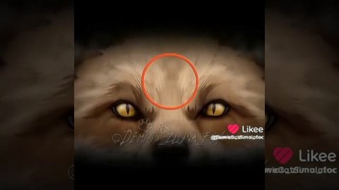 1видеоWildCraft/Видео не моё!/^𝚆𝚒𝚕𝚍𝚌𝚛𝚊𝚏𝚝/𝙶𝚘𝚕𝚞𝚋𝚒𝚌𝚑𝚔𝚊^/Ваилд крафт///.