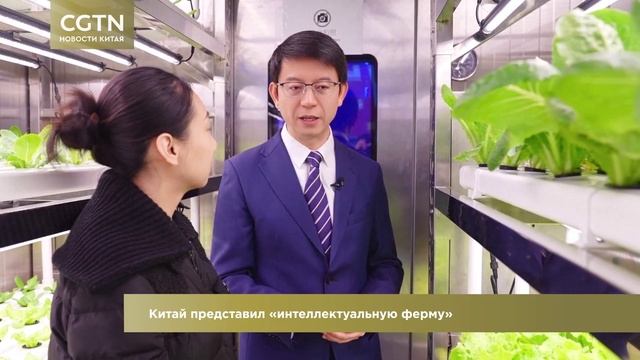 Новости Китая / CGTN / Выпуск 32