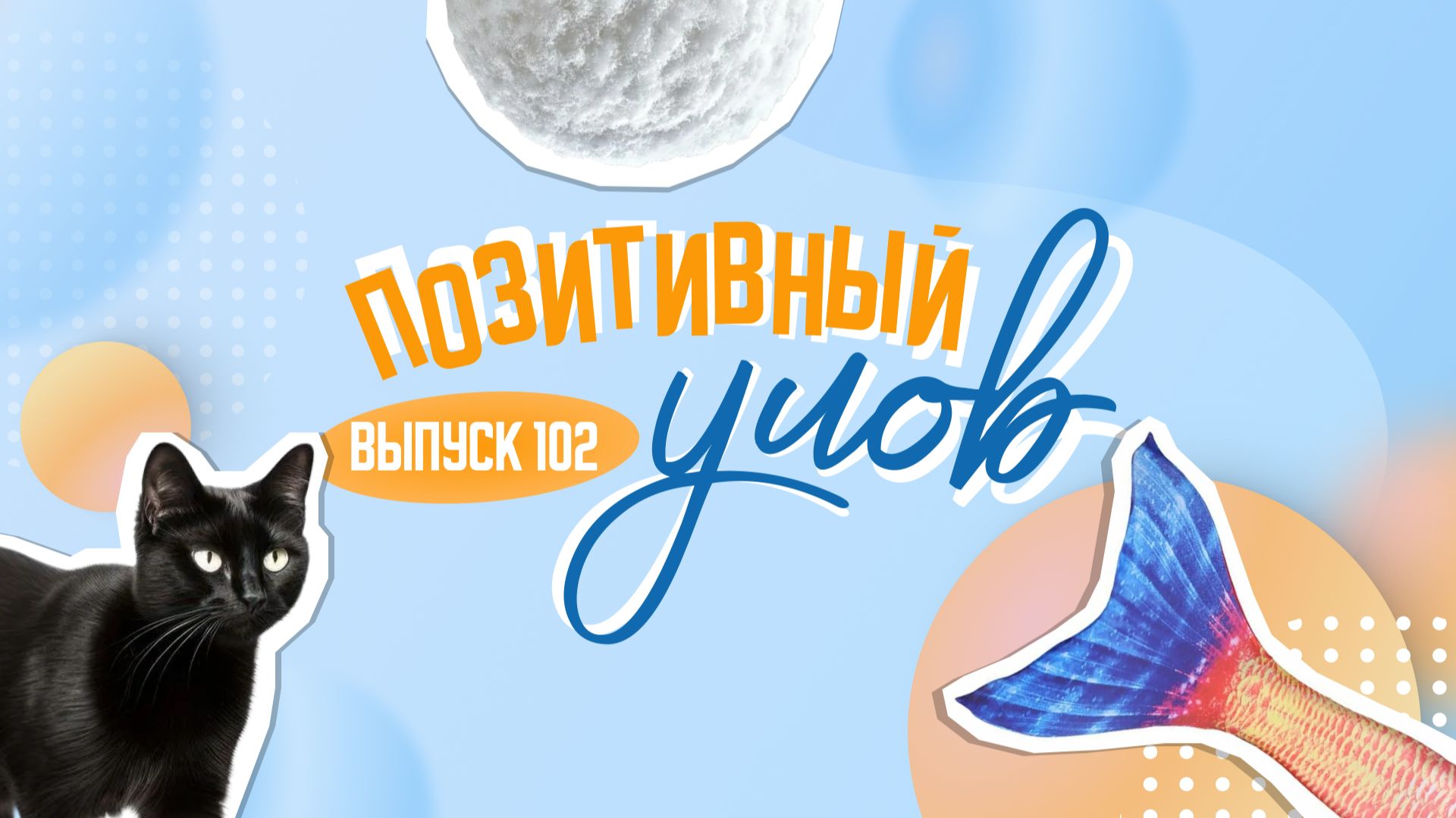 Уникальная игрушка для котов и невероятные зимние рекорды в США. "Позитивный улов"