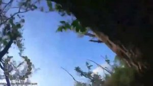 ВСУ сняли последние минуты собственной жизни под Кременной