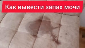 Многие и не знают, что от запаха мочи избавиться так просто