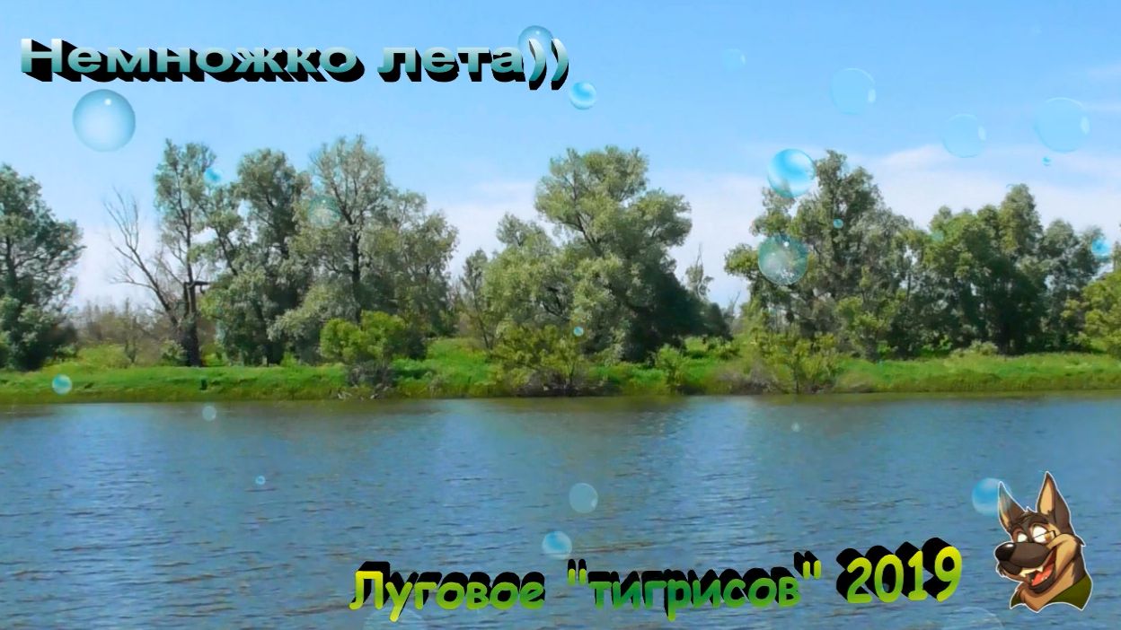 Немножко лета).  Тигрисы  в Луговом. Июль 2019