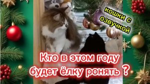 Кошки с озвучкой.