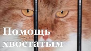 Росгвардейцы провели плановую вакцинацию в Станично-Луганском приюте