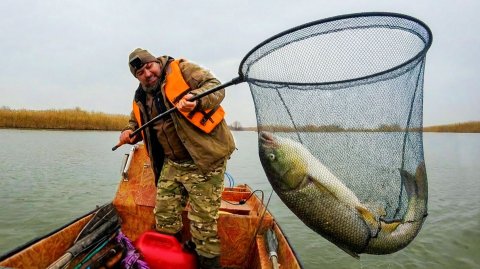 ГЛУБИНА ОДИН МЕТР, НО РЫБЫ ТУТ ТЬМА! РЫБАЛКА МЕЧТЫ В ДЕКАБРЕ!