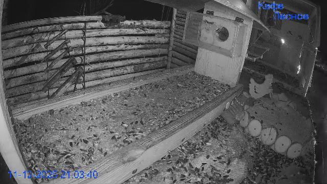 🔴 24 LIVE смотреть онлайн