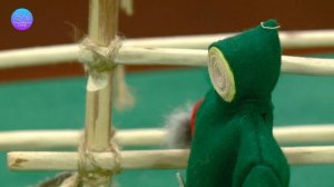 Этномедиацентр Таинственный Север. Выпуск 6 Стойбище