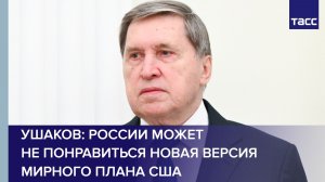 Ушаков: России может не понравиться новая версия мирного плана США