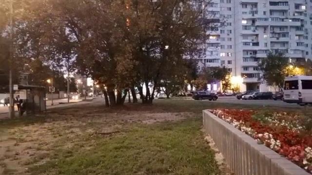 TimeVideo_20250906_193546