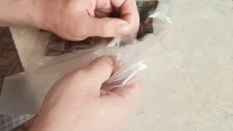 Приехала Элодея канадская.Живое растение для аквариума(5 веточек)