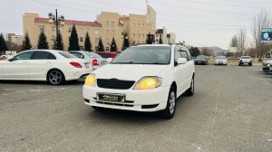 Toyota Corolla Fielder, 2002 год