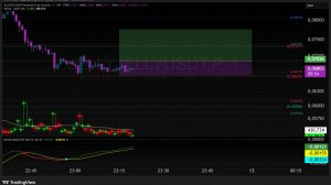 JELLYJELLYUSDT.P PUMP СТРИМ скальпинг криптовалют стакан кобры