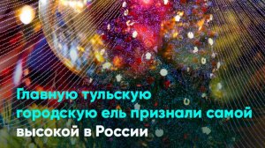 Главную тульскую городскую ель признали самой высокой в России