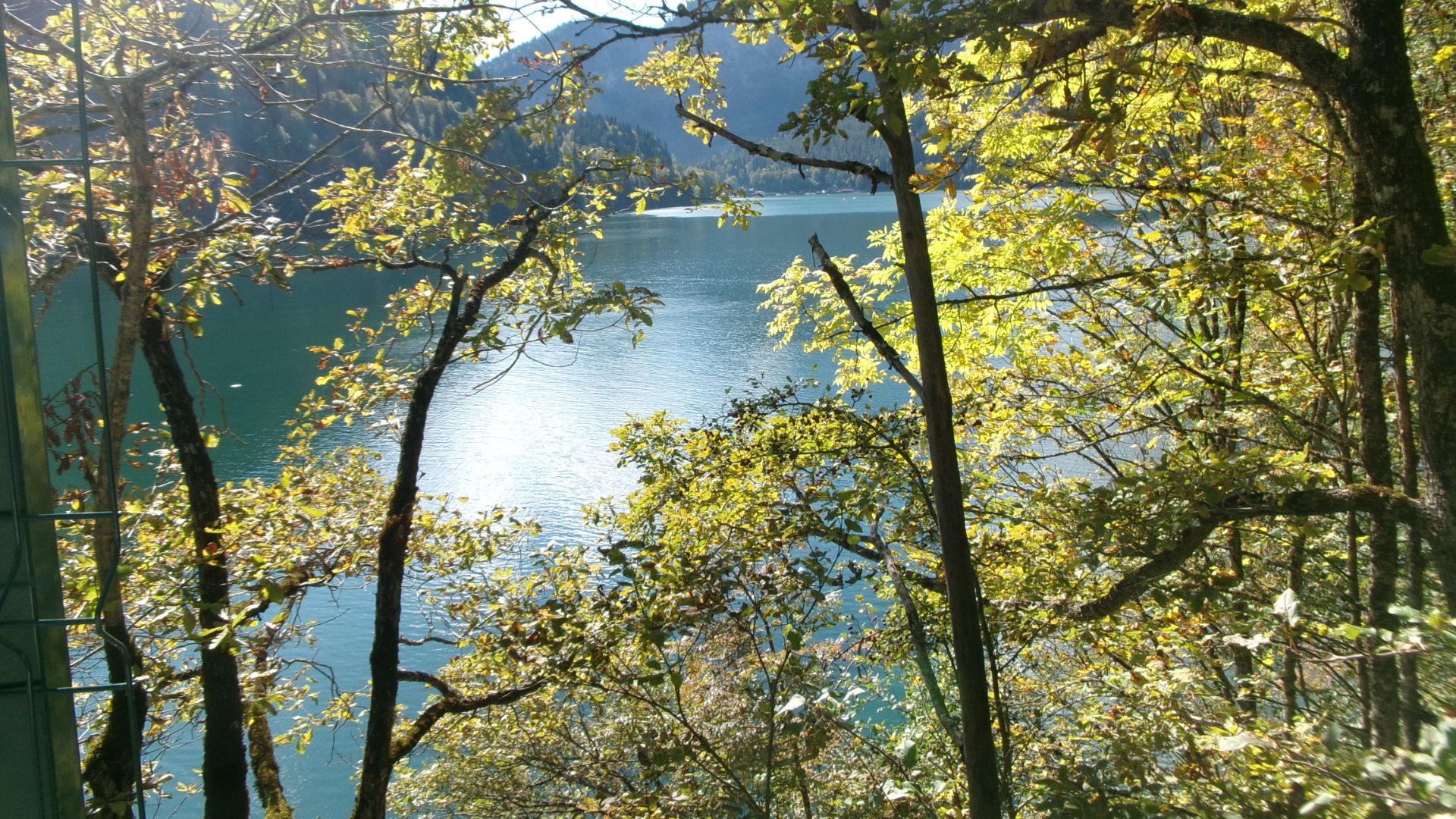 Абхазия. г.Гагра. Продолжение следует. Поездка на Озеро Рица. Музыка Звуки природы - Пение птиц..