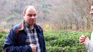 Борьба сукцессий