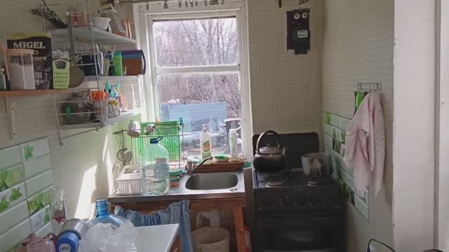 Дача. Мыши хозяева в доме. Выгребаем, отмываем. Начало стройки террасы.