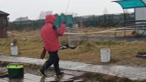 VID_20251212_123546_946