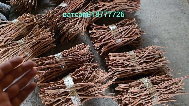 🌿 Буриши токҳо (Обрезка), нигоҳдории қаламчаҳо ва дигар маълумотҳо —
хоҳиш, танҳо дар WhatsApp нави