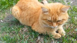 После болезни