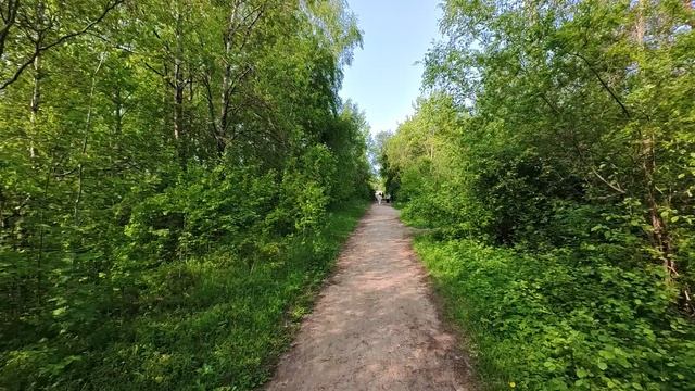 2025.06.04. Сестрорецкое болото. Ч.7