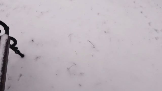 Ледяной дождь 24 ноября 2025 смотреть онлайн