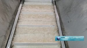 Мойка рыбы барботажная_