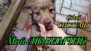 Ейск ! Мелкие недельные дела. Мой ЛЮБИМЧИК ПАШКА ! Сбой системы РУТУБ накрутил просмотры 🤦.