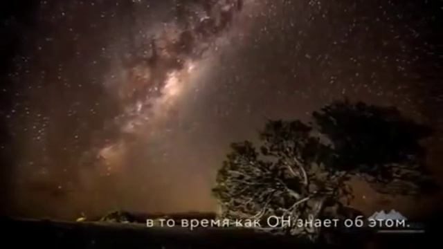 Хадисы Аль-Кудси | Читает: Али Абдулсалимов смотреть онлайн