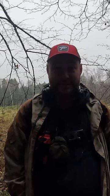 Дождь прошёл Backstage #shorts #дождьпрошел #backstage  #metaldetecting #другаяжизнь