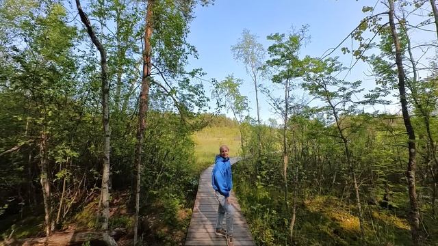 2025.06.04. Сестрорецкое болото. Ч.6