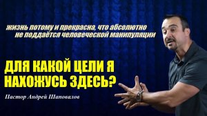 Жизнь потому и прекрасна, что абсолютно не поддаётся манипуляции. Для какой цели я нахожусь здесь_