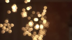 2 часть недельный влог вторник