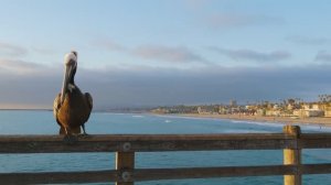 ОЧЕНЬ КРАСИВАЯ И СПОКОЙНАЯ МУЗЫКА ДЛЯ ДУШИ - ЛУЧШАЯ ИНСТРУМЕНТАЛЬНАЯ МУЗЫКА!!!