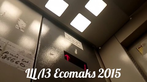 🫨 Трясучий! Лифт ЩЛЗ Ecomaks 2015 г. в. V - 1 m/s Q - 400 КГ