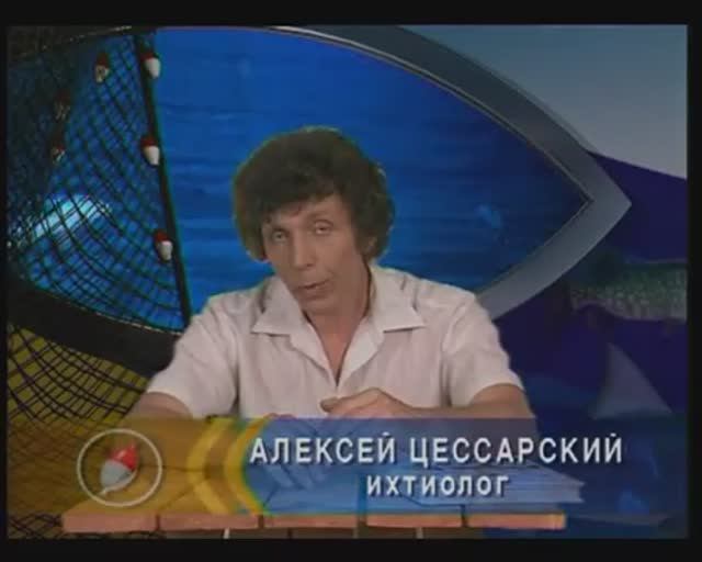 Чем отличаются закрытопузырные Лучепёрые рыбы из класса Actinopterygii от открытопузырных ?