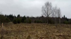 участок7ГАпродажа