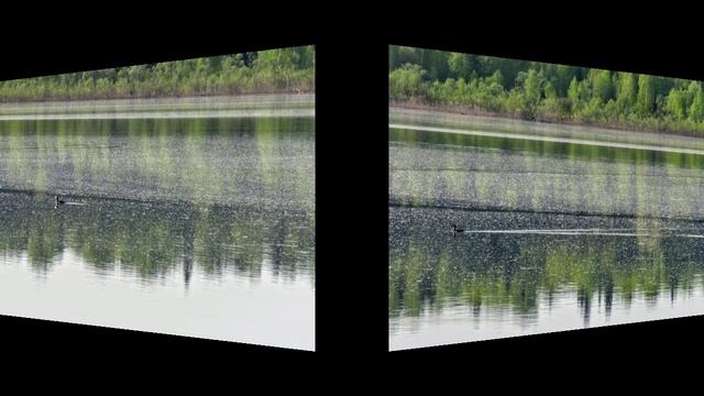 Улов, ондатры и тайга вокруг - ч 2